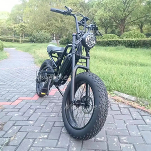 Bicicleta eléctrica con neumáticos gruesos de 20 pulgadas, 48 ​​V, 1000 W