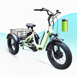 Bicicleta eléctrica de carga de 3 ruedas Ebike, plegable, 48V, 500W, triciclo eléctrico con neumático grueso, bicicleta eléctrica de 20 'X4.0