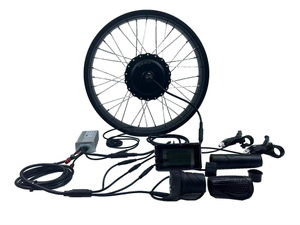 Kit de bicicleta eléctrica neumático grueso 20 'ebike 48v 750w kit de conversión de motor de cubo sin engranajes sin escobillas neumático grueso impermeable